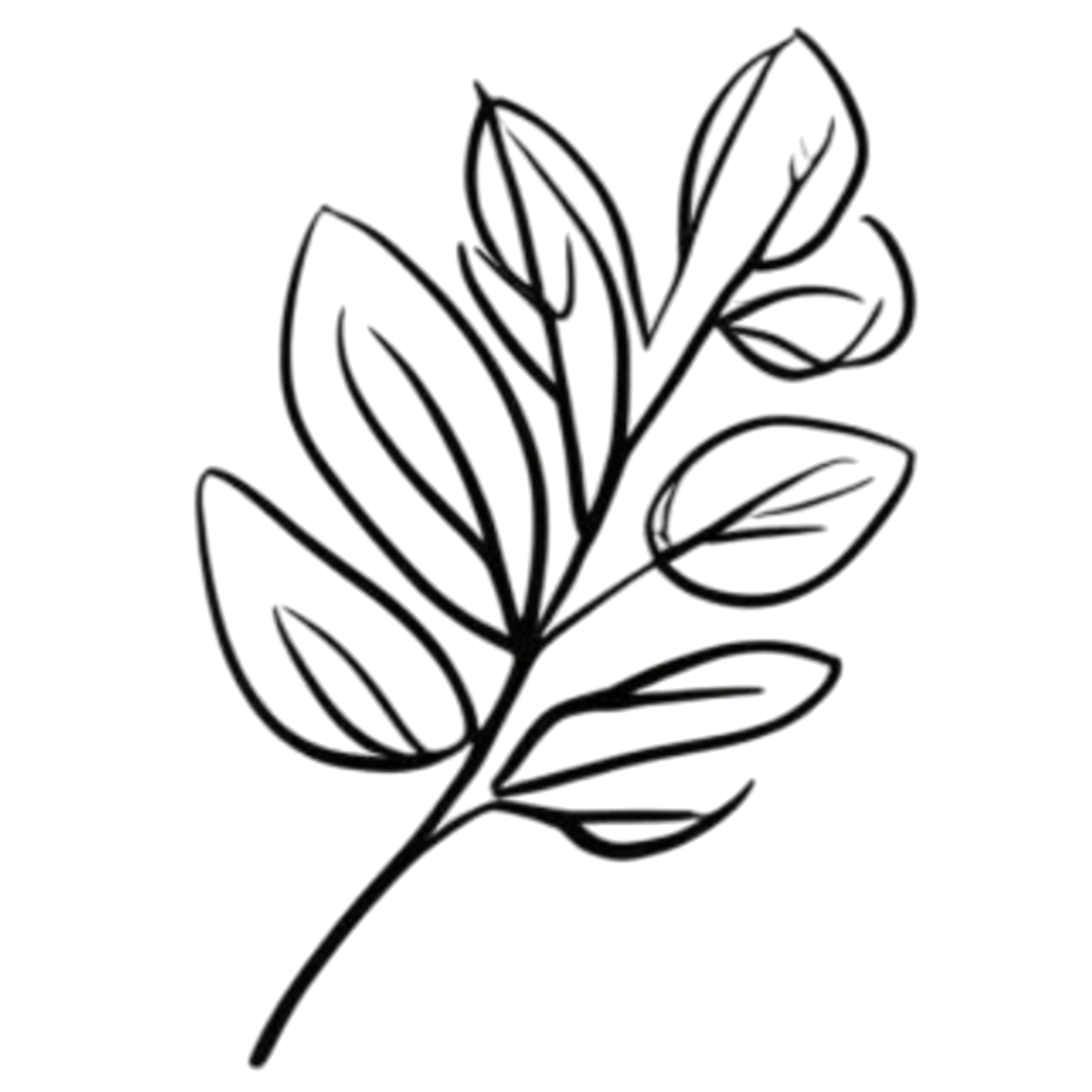 custom-icon